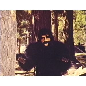 The Beauties And The Beast (1973)