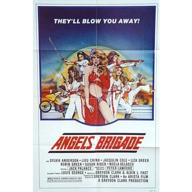 Angels' Brigade (1979)