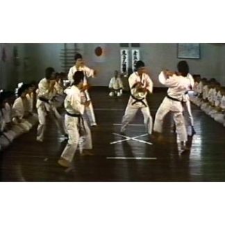 Karate Wars (1975)