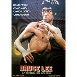 Bruce Lee: A Dragon Story (1976)