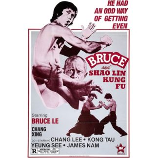 Bruce And Shao Lin Kung Fu (1977)