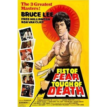 Fist Of Fear, Touch Of Death (1979)