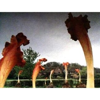 The Day of the Triffids,(1981)