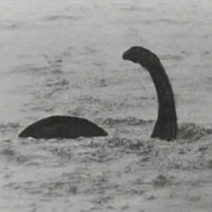 The Man Who Captured Nessie (2005)