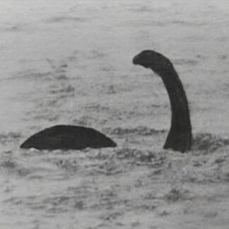 The Man Who Captured Nessie (2005)